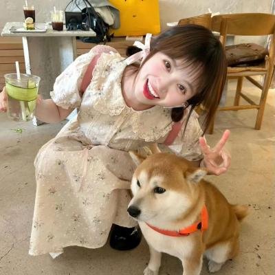 女王的哥基